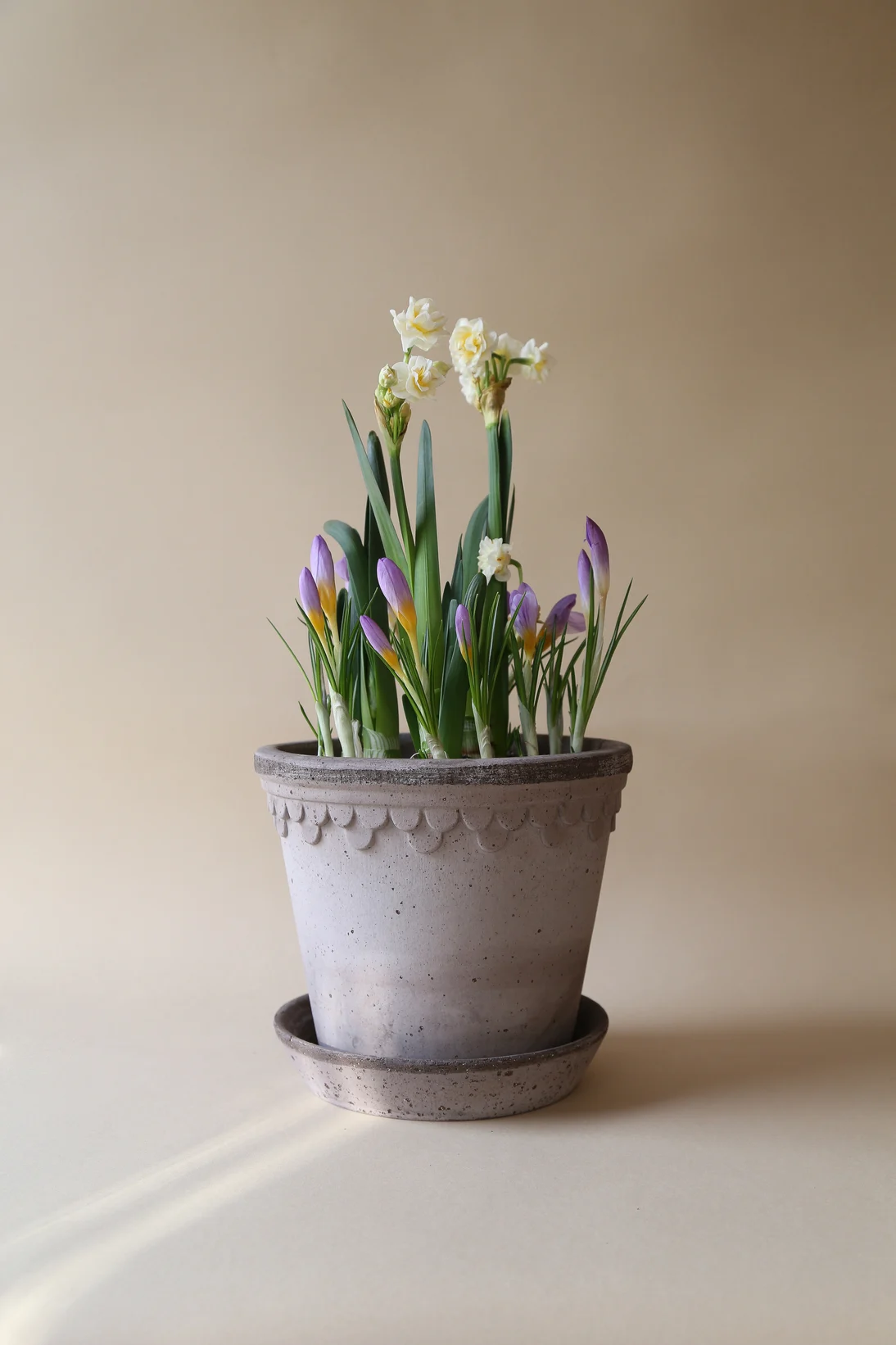 Verschenken Sie statt einem Strauß einfach eine Pflanze zum Muttertag, wie hier Maiglöckchen in einem grauen Topf aus der Kopenhagen-Kollektion von Bergs Potter.