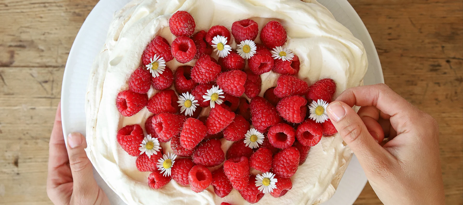 Eine leckere Himbeertorte mit Baiser ist eines der einfachen Tortenrezepte von Baka med Frida. Dekorieren Sie die weiße Torte aus Baiser und Sahne mit frischen roten Himbeeren und hübschen Gänseblümchen.