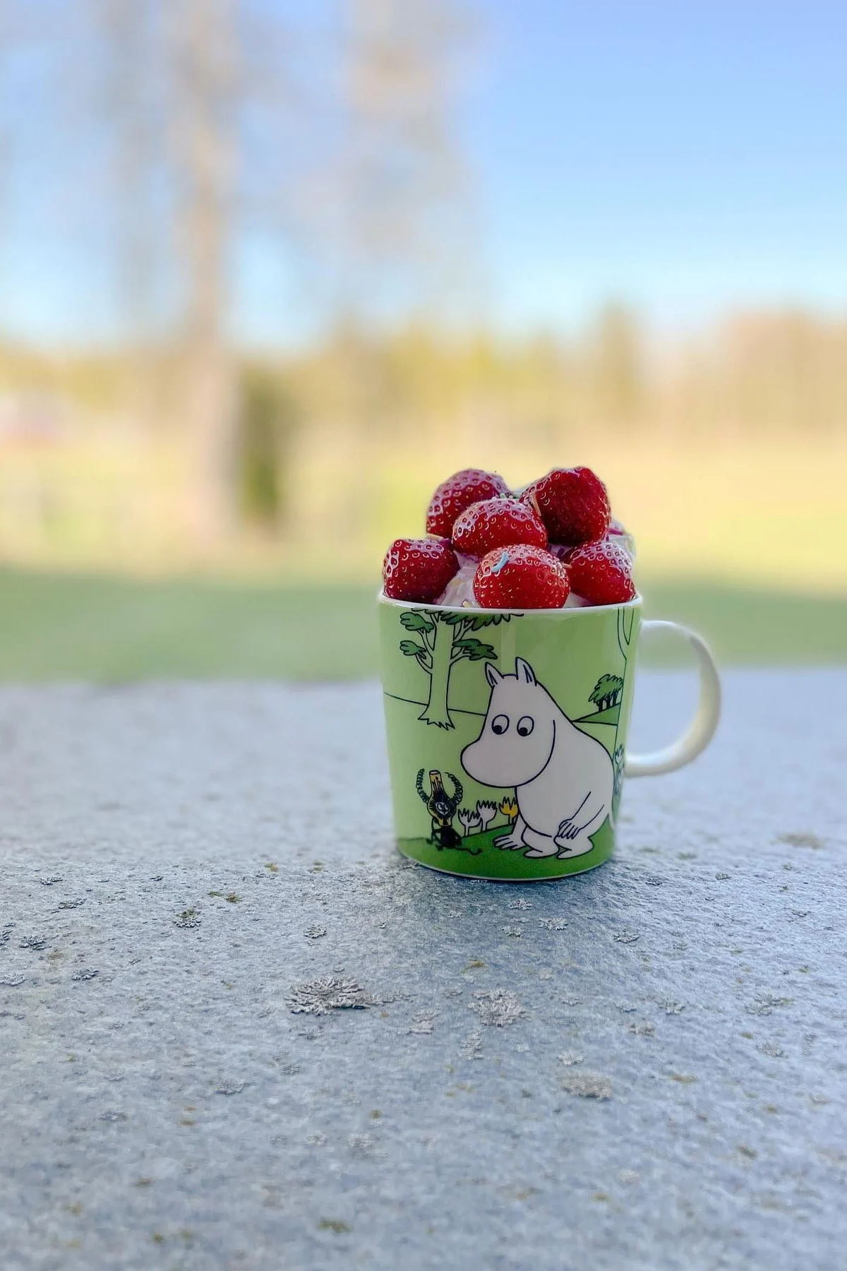 Die grüne Mumin-Tasse von @mylittlemoominfamily steht draußen auf dem Boden, gefüllt mit Erdbeeren.