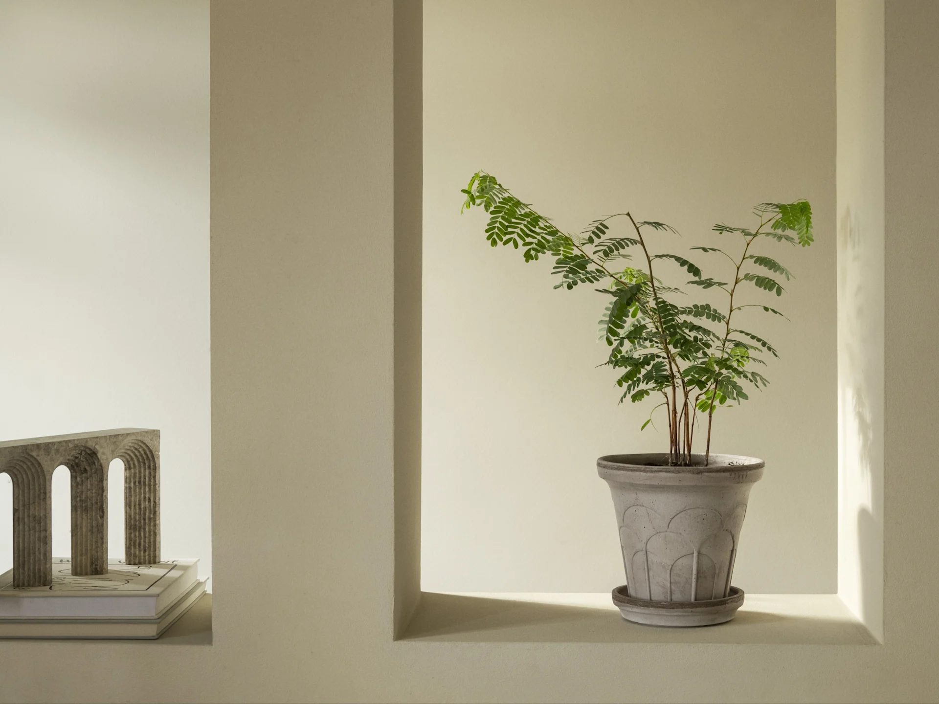 Ein minimalistisches Interieur mit einer grünen Pflanze in einem gemusterten grauen Topf in einer Wandnische, neben einem skulpturalen Bogen auf Büchern.
