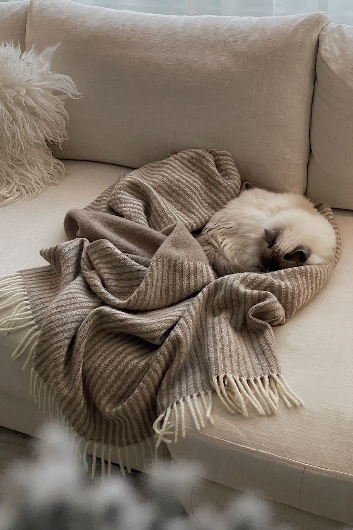 Schaffen Sie ein gemütliches Hygge-Wohnzimmer, in dem sich alle wohlfühlen, auch die Familienkatze, die auf der beigefarbenen Wolldecke NJRD Stripes schläft. 