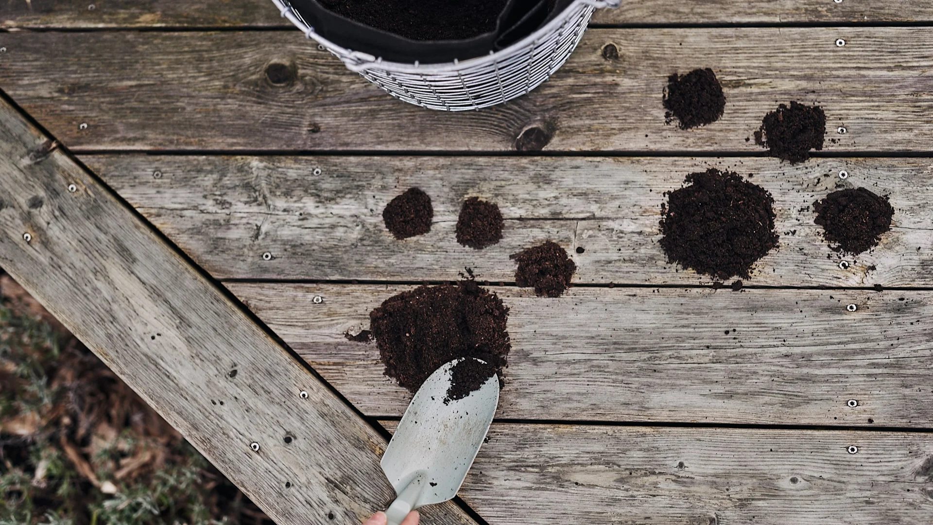Pfotenabdrücke in der Erde dienen Kindern als Anhaltspunkt, um bei der Ostereiersuche im Garten die versteckten Leckereien zu finden.