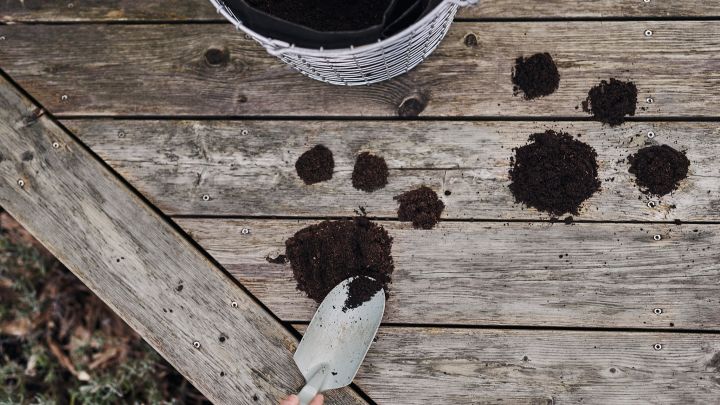 Pfotenabdrücke in der Erde dienen Kindern als Anhaltspunkt, um bei der Ostereiersuche im Garten die versteckten Leckereien zu finden.