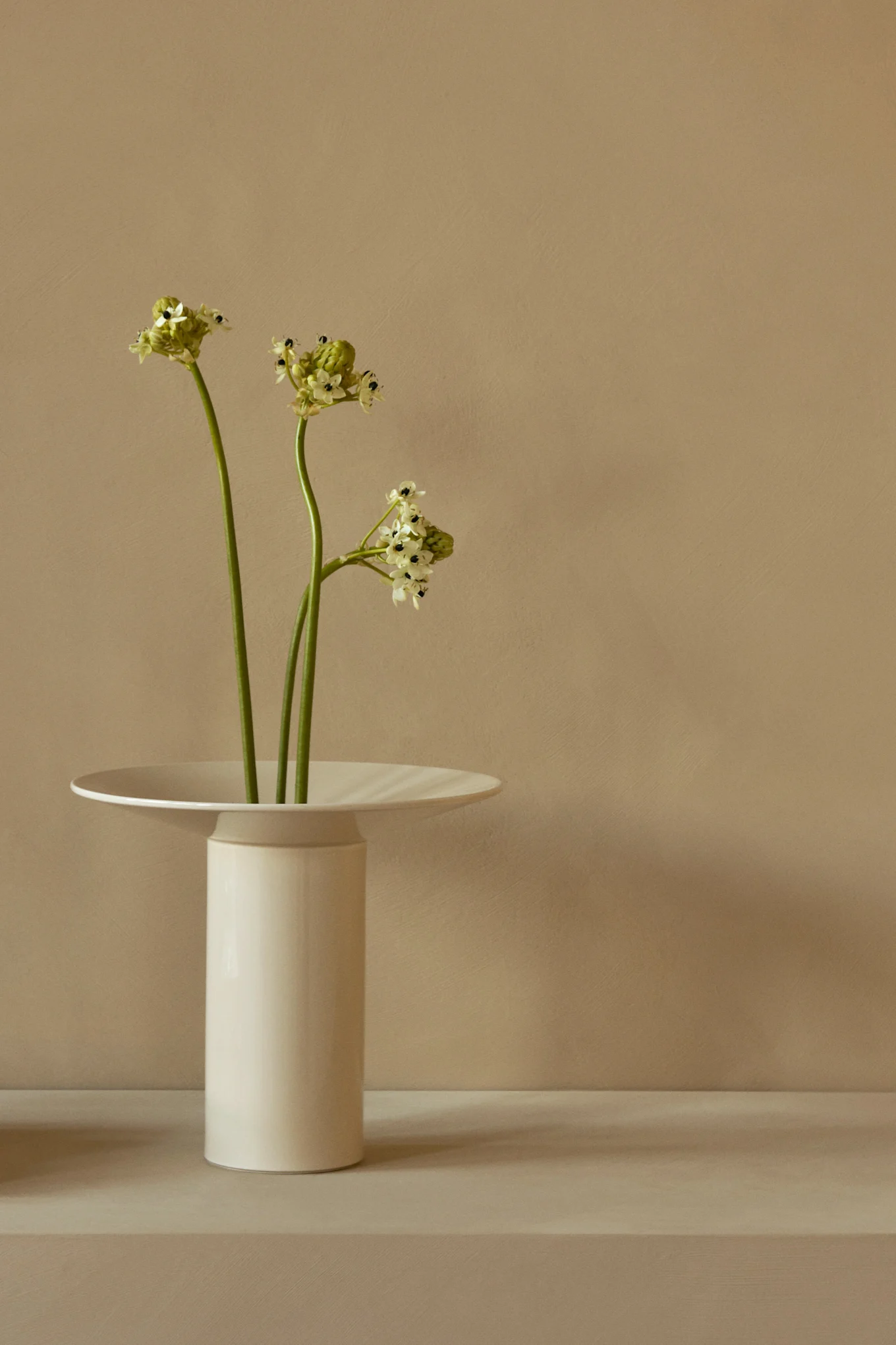 Drei grüne Stiele mit kleinen hellgrünen und weißen Blüten in einer hohen, weißen Vase mit flachem, breitem Rand.