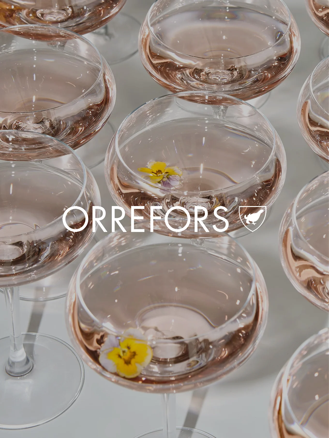 Klare Glaspokale mit rosa Flüssigkeit und gelben Stiefmütterchen. 'ORREFORS'-Text und Logo überlagert.