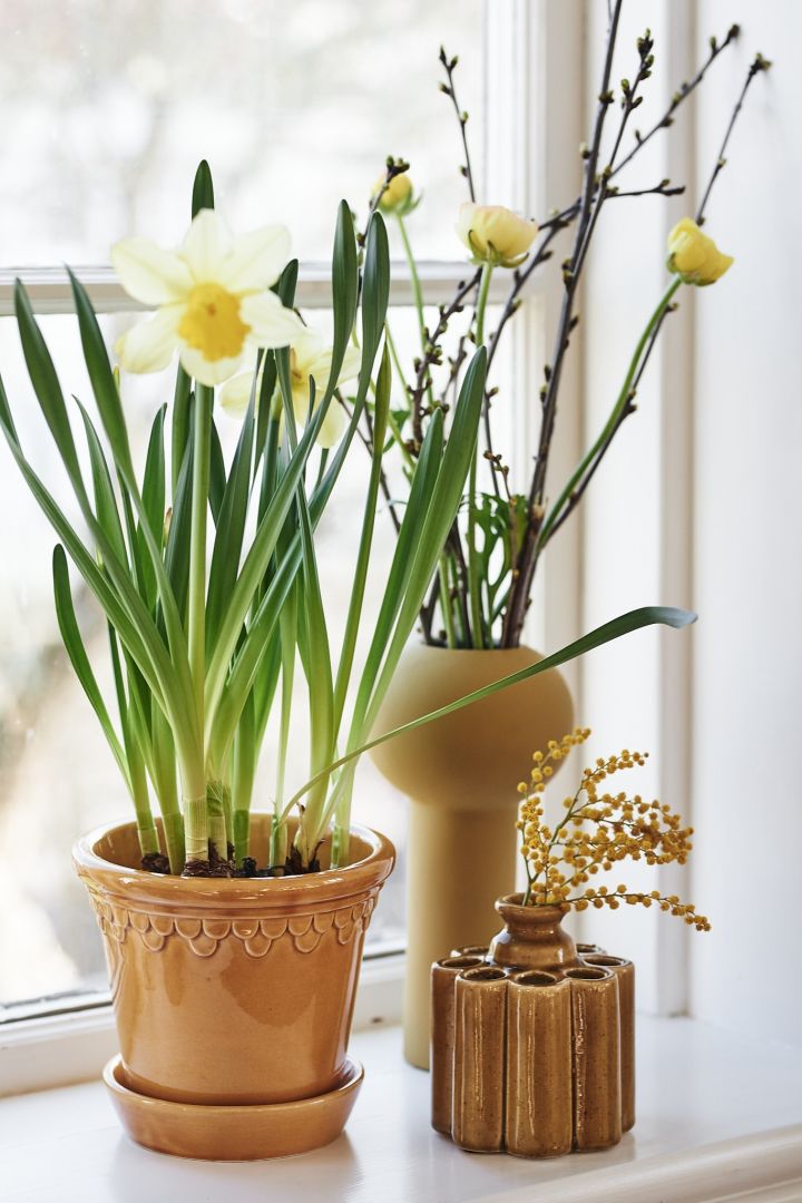 Frühlingserwachen: Ein Bergs Potter-Topf, eine Pillar-Vase von Cooee Design und ein kleiner ockerfarbener Topf mit Frühlingsblumen stehen auf der Fensterbank.