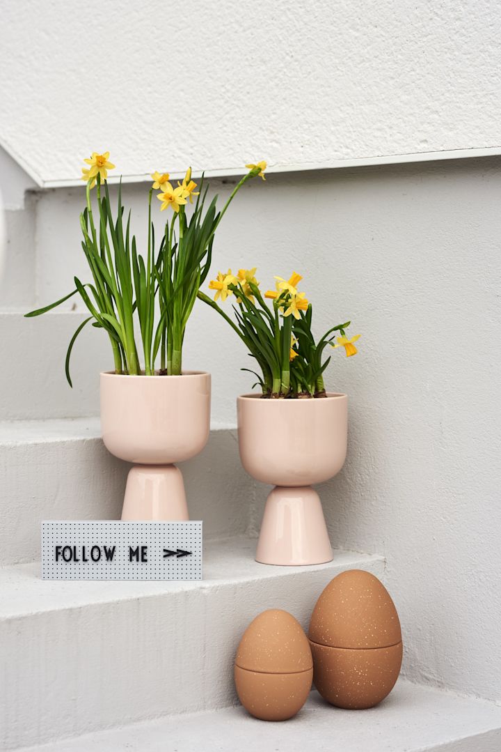 Osterdekoration: Hier sehen Sie frühlingshafte Blumen in einem Nappula Blumentopf von Iittala neben der Bonbonniere Schale von Cooee Design und der Design Letters Buchstabentafel.