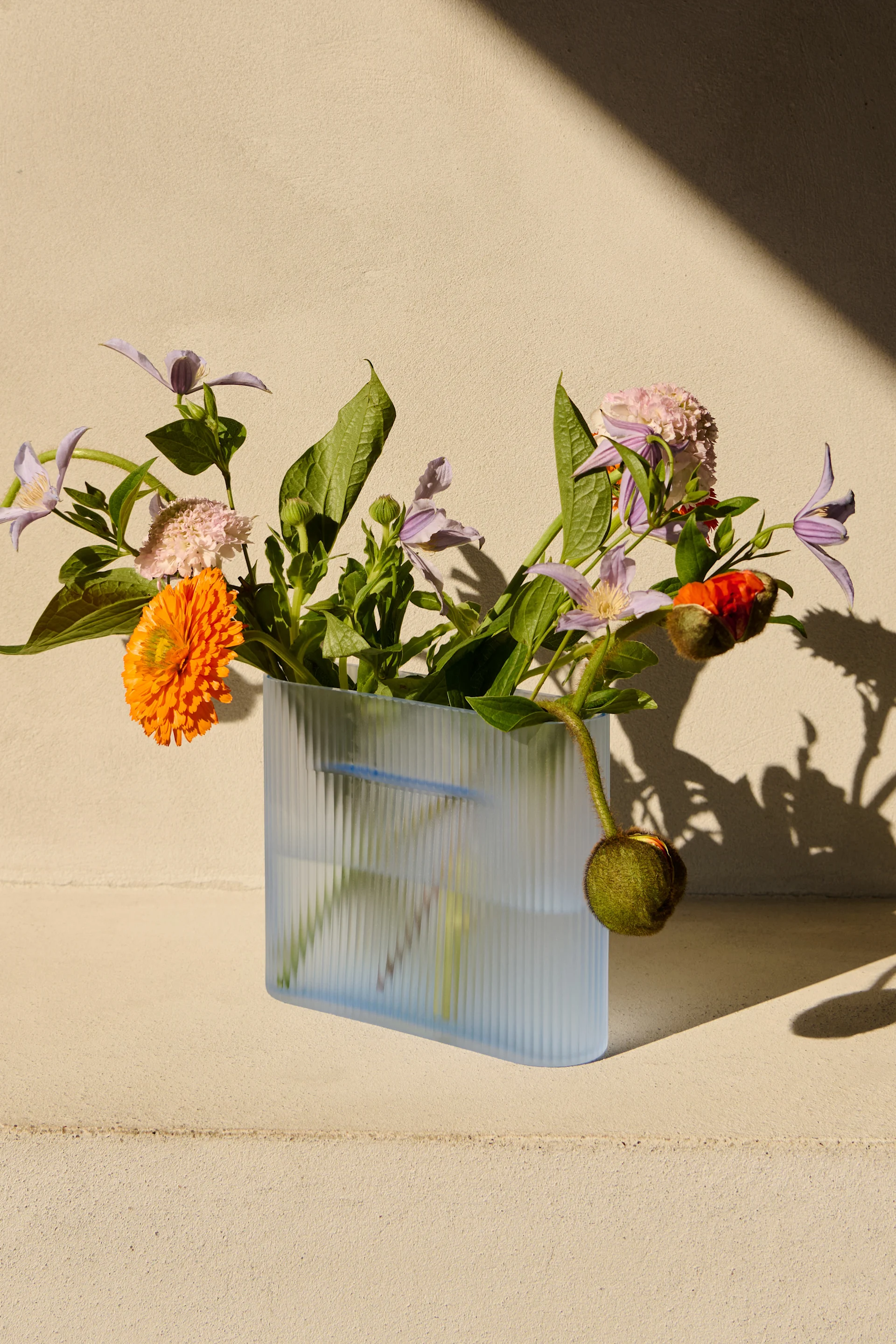 Eine hellblaue gerippte Vase mit einer orangefarbenen Blume, lila Clematis, rosa Skabiose und einer Mohnknospe. Sonnenbeschienener beiger Hintergrund.