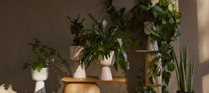 Pflanzen im Haus – 9 Blumentöpfe für ein grünes zu Hause. Dekorieren Sie mit dem Nappula Keramiktopf von Iittala für ein gemütliches Zuhause.