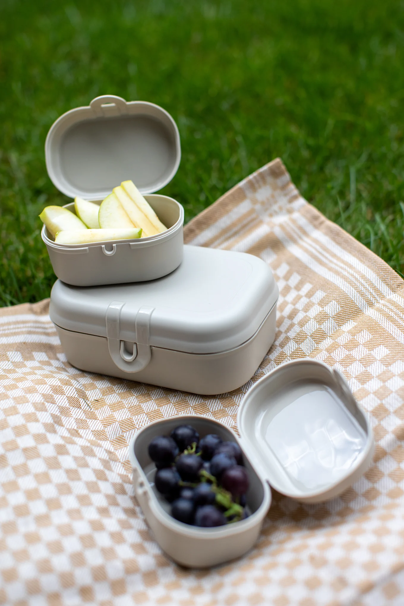 Drei hellbeige Brotdosen mit Apfelscheiben und Trauben auf karierter Picknickdecke im Gras.