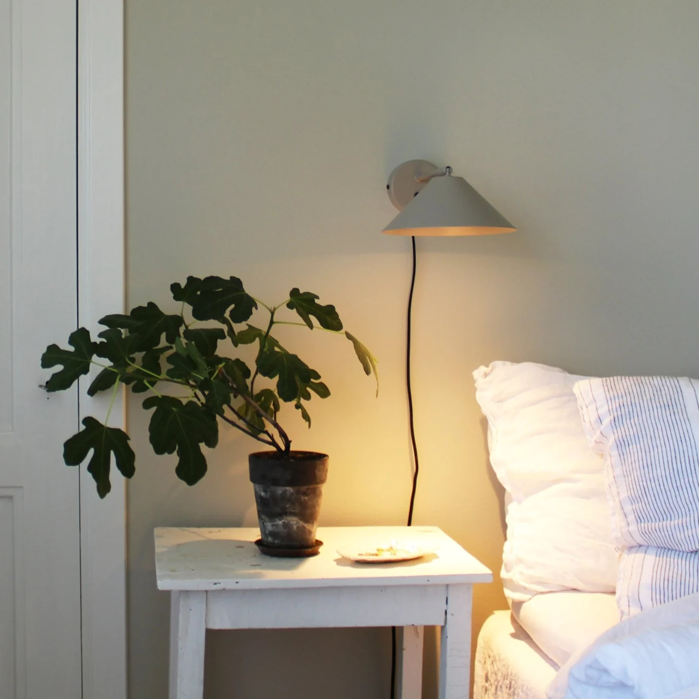 Eine Topf-Feigenpflanze auf einem weißen Nachttisch neben einem Bett mit weißer Bettwäsche, beleuchtet von einer warmen Wandlampe.