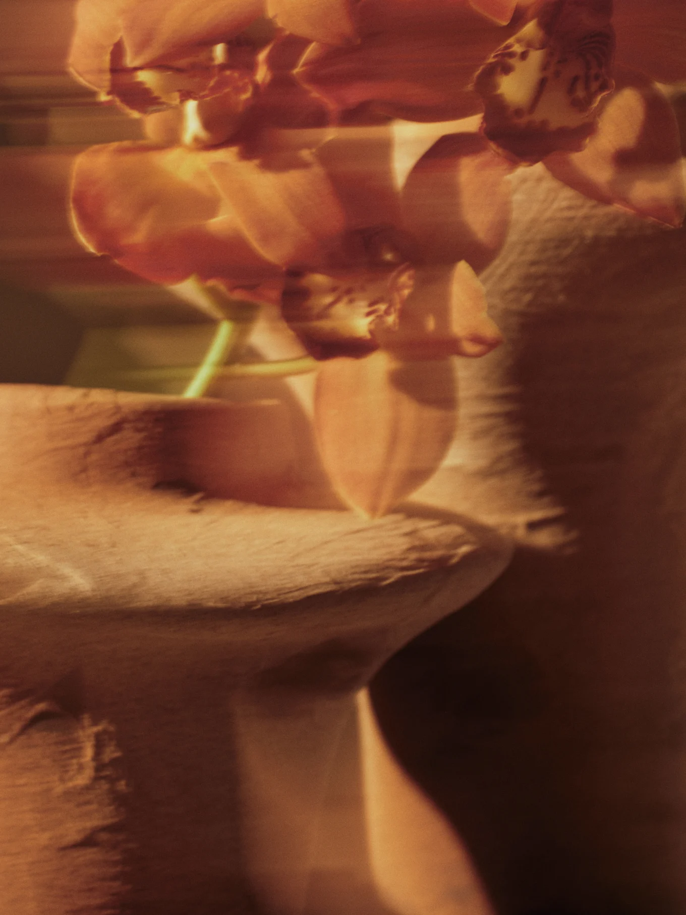 Verschwommenes Bild von orangeroten Orchideen mit weichem Fokus vor strukturiertem Hintergrund.