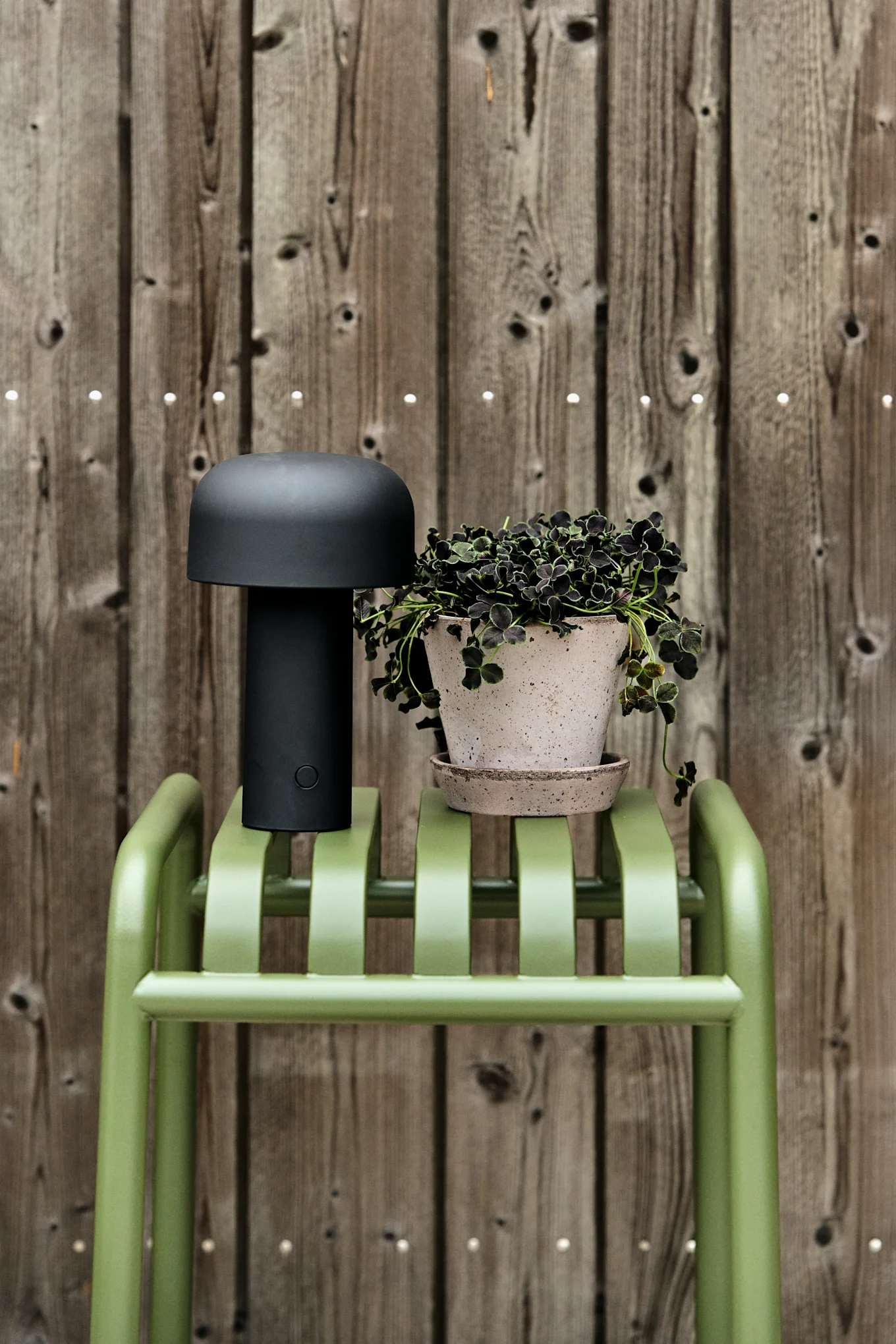 Eine schwarze pilzförmige Lampe und eine Topfpflanze mit dunklen Blättern stehen auf einer grünen Lattenbank vor einem Holzzaun.