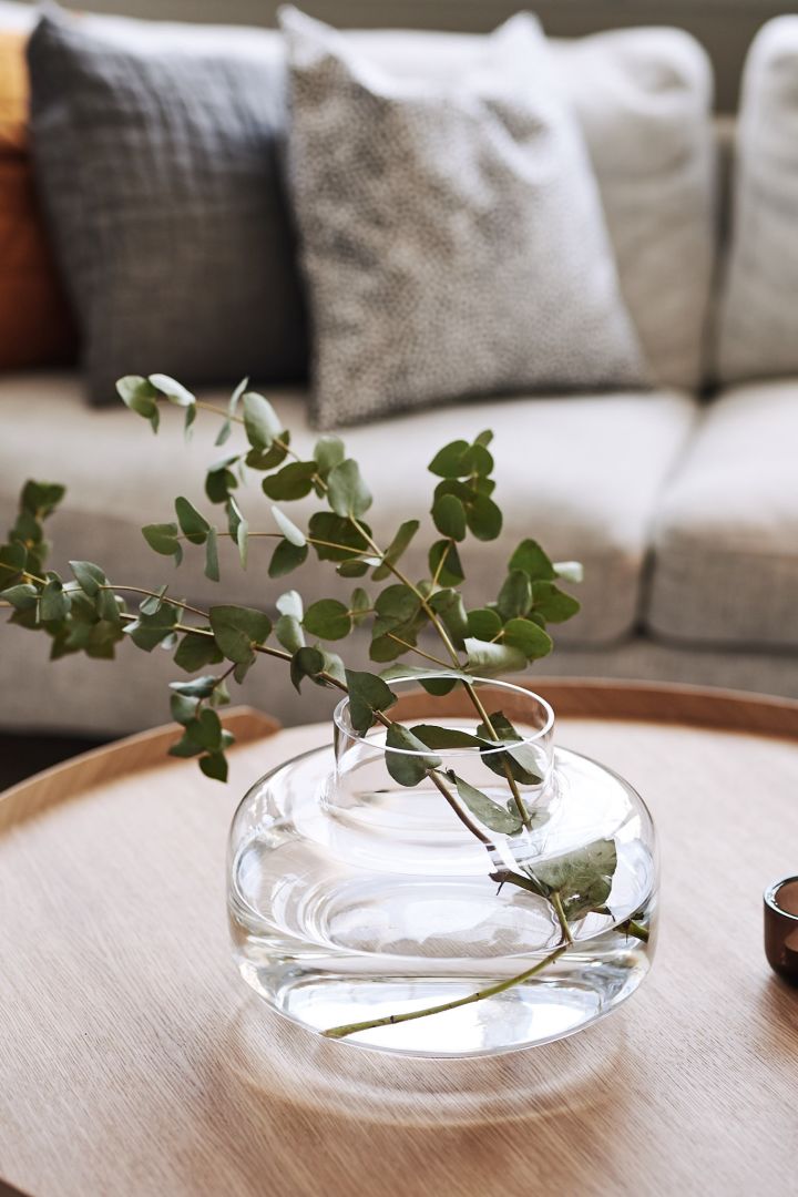 Ein Eukalyptuszweig in einer durchsichtigen Marimekko-Vase steht auf dem Couchtisch und schafft eine schöne Atmosphäre. 