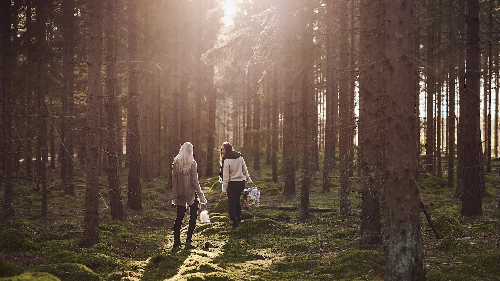 In unserer Herbst To-do-Liste geben wir Ihnen zahlreiche Tipps, was Sie diesen Herbst Skandinavisches machen können – zum Beispiel einen Spaziergang im Wald, um Pilze zu sammeln.