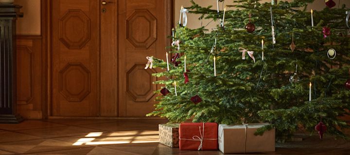 Dekorieren Sie Ihren Baum dieses Jahr mit dem Weihnachtsbaumschmuck 2021 in den 4 verschiedenen Stilen der Nest Trends – Boost, Cultivate, Nurture und Share. Hier sehen Sie den Sagalin Bird Ornament Weihnachtsanhänger von Bloomingville.