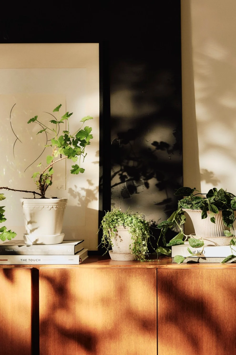 Pflanzen runden Ihre Boho Deko ab, hier sehen Sie verschiedene Blumentöpfe von Bergs Potter auf einer Kommode stehen.