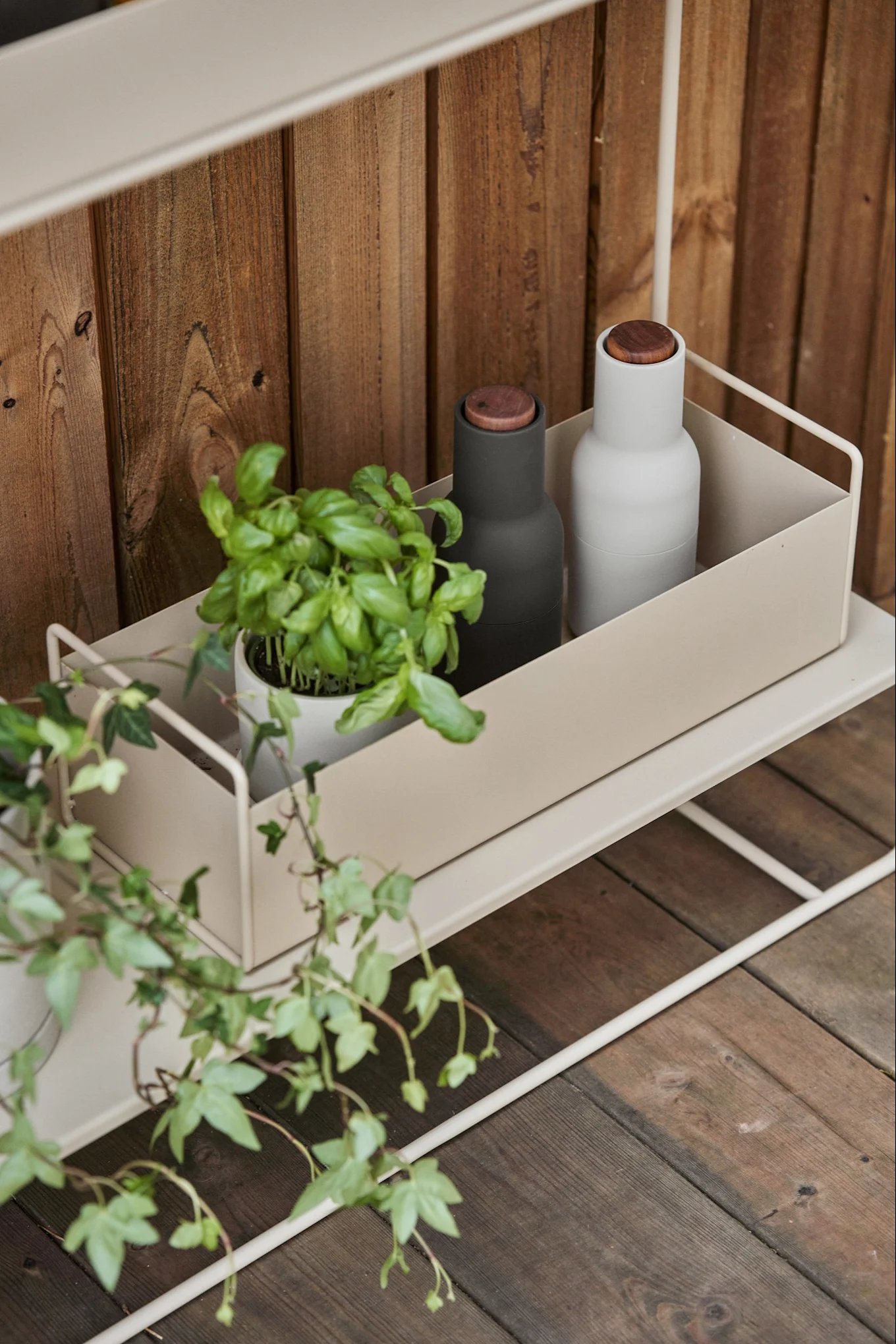 Eine Basilikumpflanze und zwei minimalistische Flaschen (dunkelgrau und hellgrau) mit Holzdeckeln stehen auf einem hellbeigen Metallregal vor einer Holzwand.