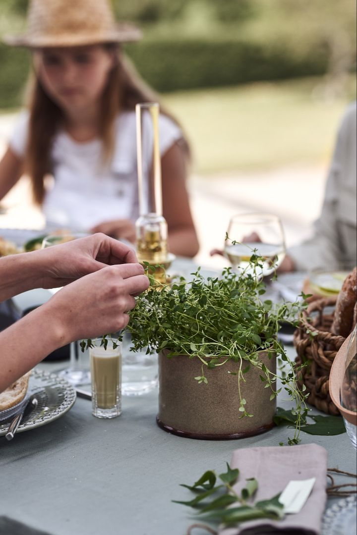 Kräuter auf dem Tisch in einem Topf von DBKD machen sich gut auf einem gedeckten Tisch und ist ein hilfreicher Partytipp, wenn die Gäste es selbst pflücken können. 