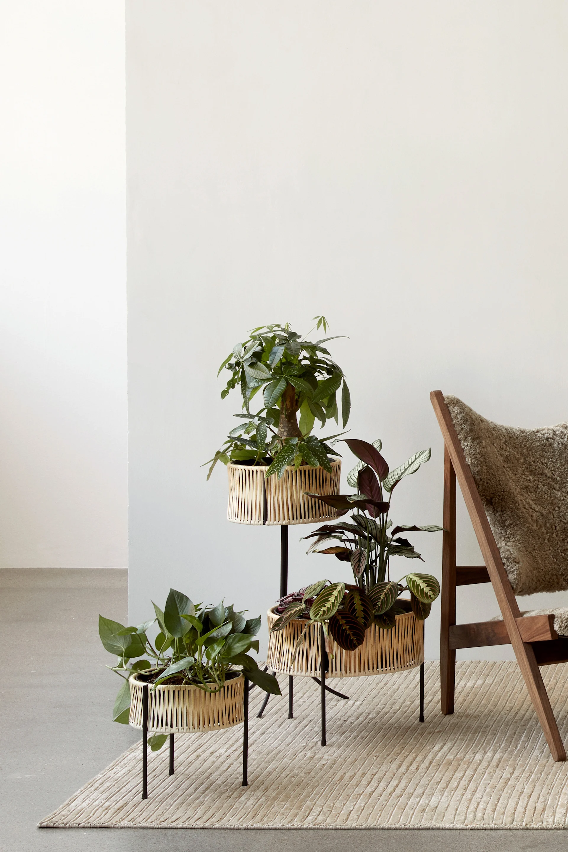 Pflanzen im Haus – 9 Blumentöpfe für ein grünes zu Hause. Dekorieren Sie mit dem Umanoff Planter aus Rattan und Stahl von Menu.