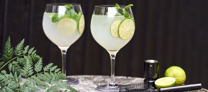 Tipps für einfache Sommergetränke - ein erfrischender Gin & Tonic Drink, serviert in klassischen G&T-Gläsern von Orrefors. 