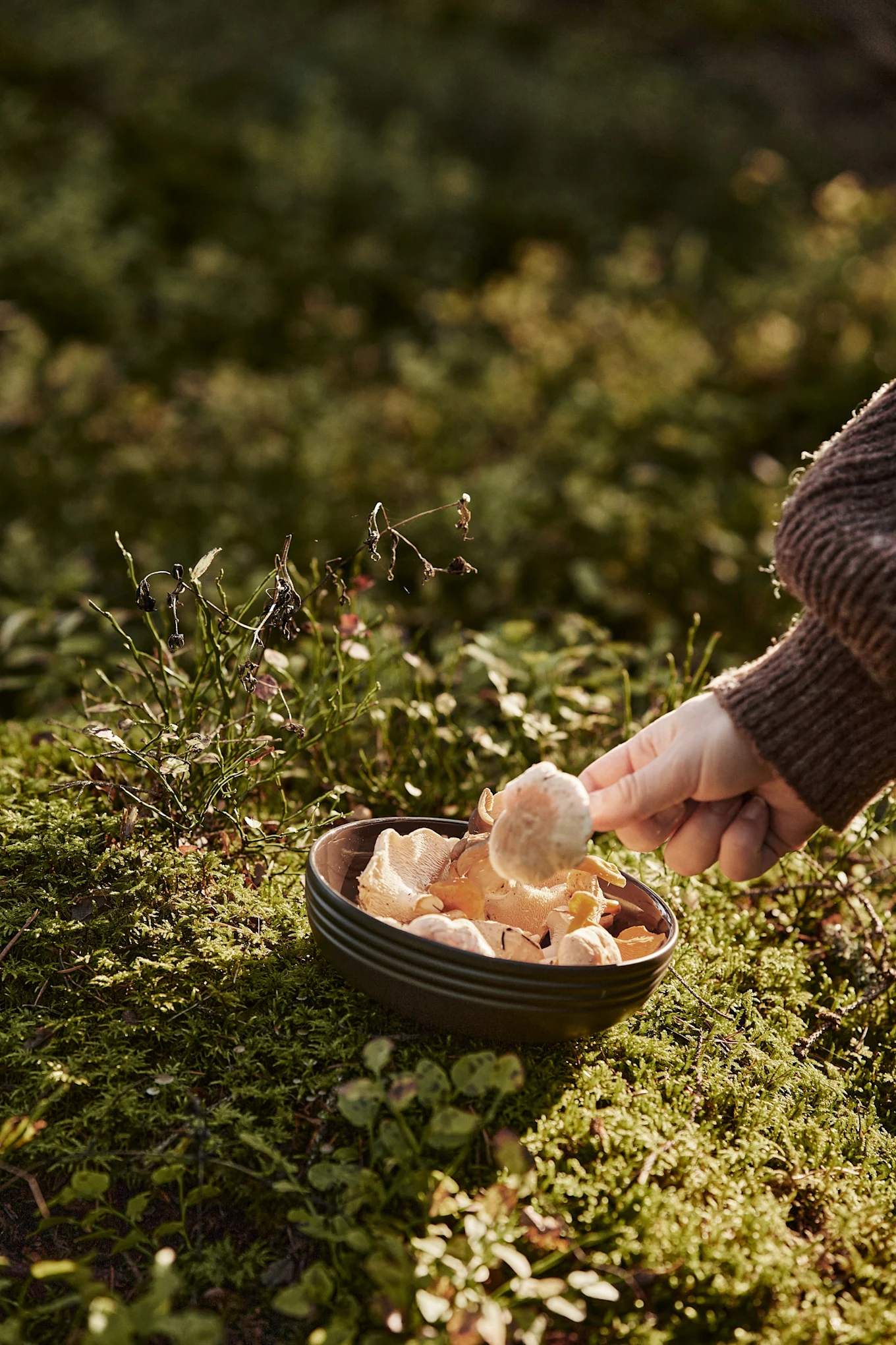In unserer Herbst To-do-Liste geben wir Ihnen zahlreiche Tipps, was Sie diesen Herbst Skandinavisches machen können – zum Beispiel sollten Sie insbesondere im September und Oktober Pilze sammeln gehen, es lohnt sich!