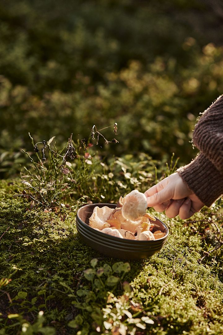 In unserer Herbst To-do-Liste geben wir Ihnen zahlreiche Tipps, was Sie diesen Herbst Skandinavisches machen können – zum Beispiel sollten Sie insbesondere im September und Oktober Pilze sammeln gehen, es lohnt sich!