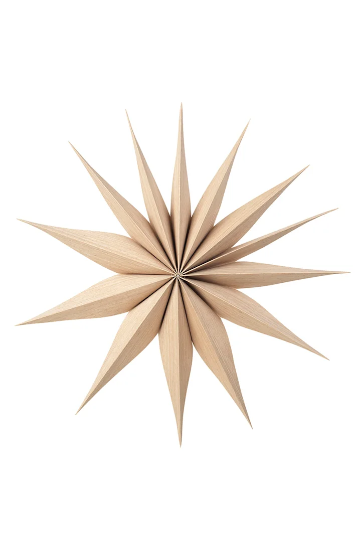 Zauberhafte Weihnachtssterne