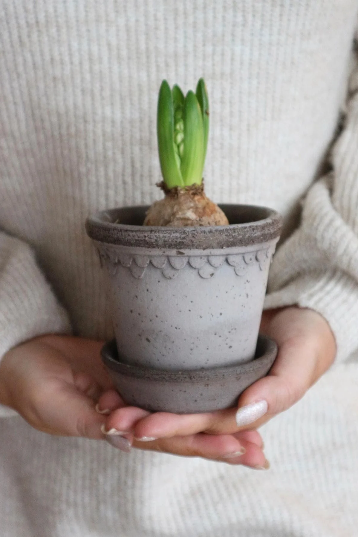 Skandinavische Weihnachtsdeko: Hyazinthen sind eine klassische Weihnachtsdeko in Skandinavien, hier hält @interior_byvendela eine im Københavner Blumentopf von Bergs Potter in den Händen.