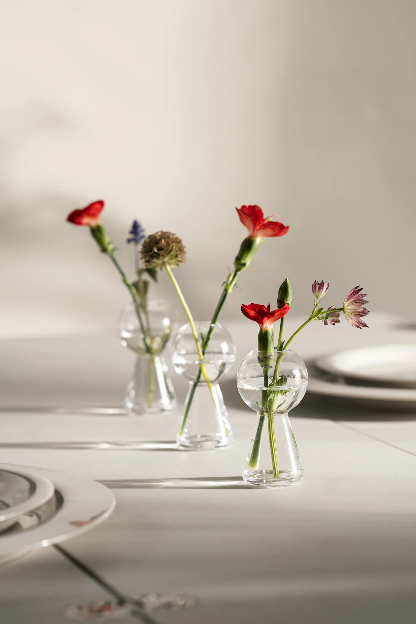 Welche Vase für Schnittblumen? Tipps einer Floristin