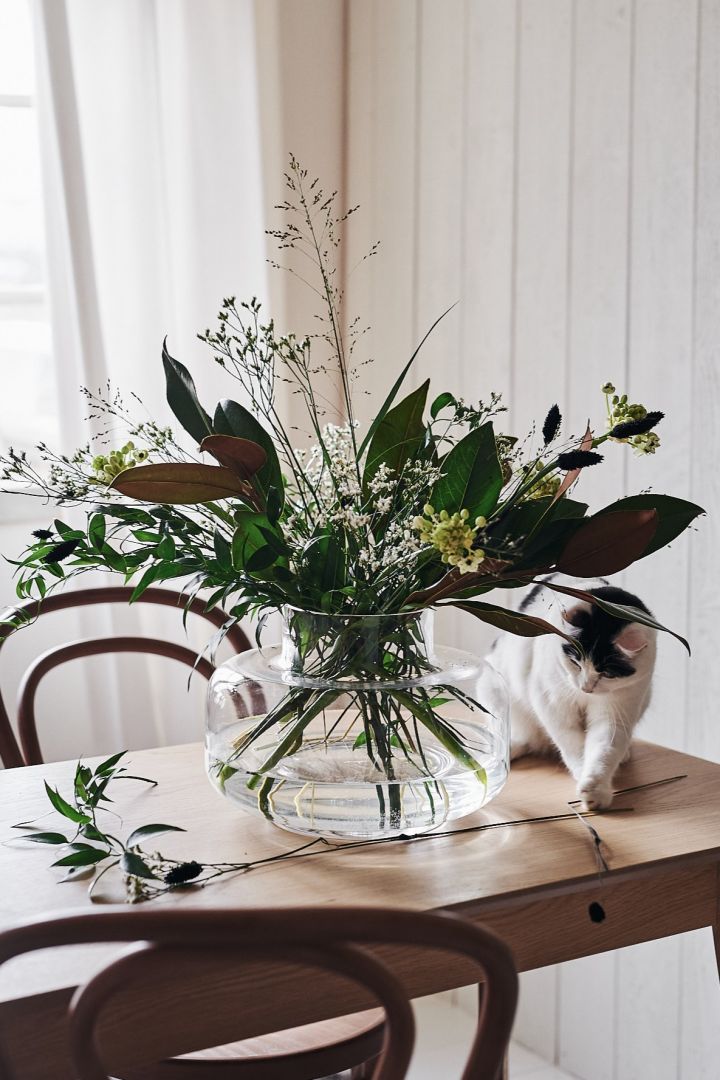 Frühlingserwachen: Eine Katze spielt mit einer losen Blume auf einem Esstisch mit einem Strauß frischer Blumen in der klaren Urna-Vase von Marimekko.