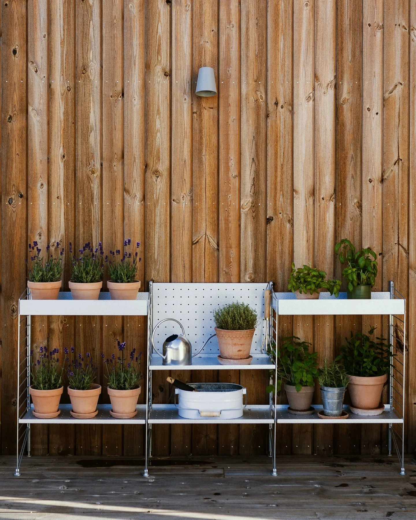 Weißes Metallregal mit Topf-Lavendel und verschiedenen Kräutern auf einer Holzterrasse vor einer rustikalen Holzwand.