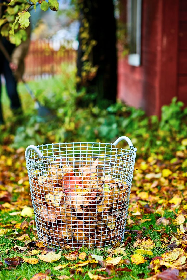 Herbst To-do-Liste: Sammeln Sie buntes Herbstlaub im Korbo Classic 50 Korb.