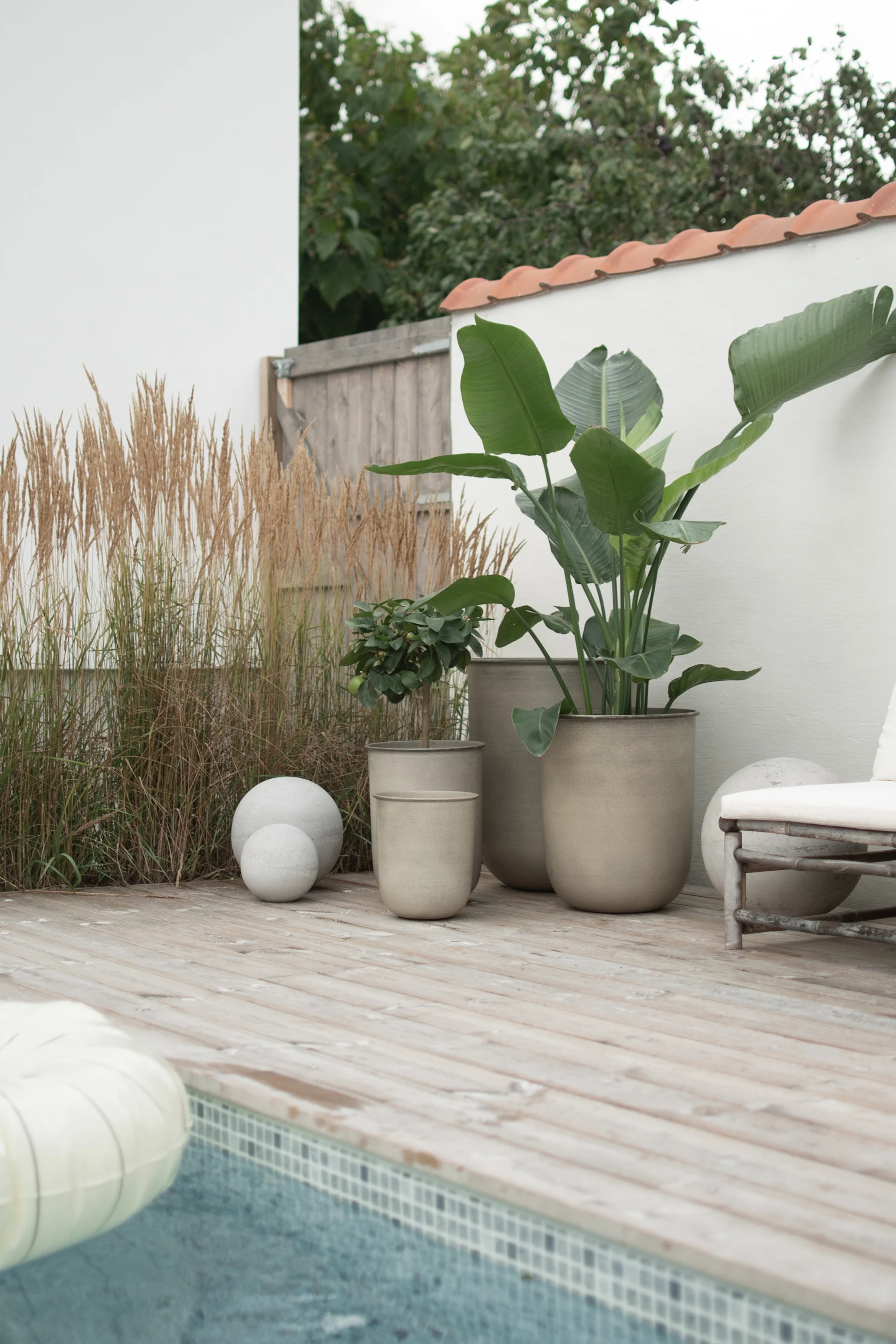 Outdoor-Holzterrasse am Pool mit großen Topfpflanzen, hohem Gras, dekorativen Betonkugeln und einem weißen Liegestuhl.