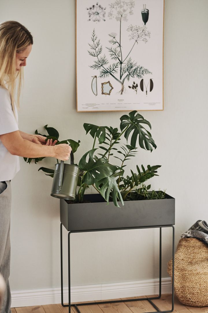 Die Plant Box von Ferm Living ist hervorragend für die Aufbewahrung von Alltagsgegenständen und zum Züchten von Pflanzen geeignet.